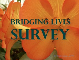 BL Survey